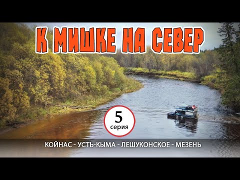 Видео: #5 Койнас - Усть-Кыма - Лешуконское - Мезень.  Автопутешествие К Мишке на Русский Север.