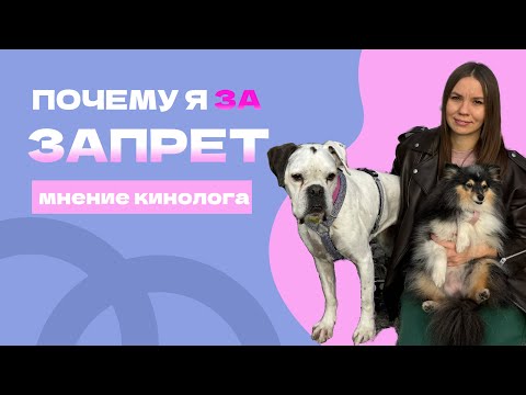 Видео: Запрещающая команда, всё про запрет, команда нельзя