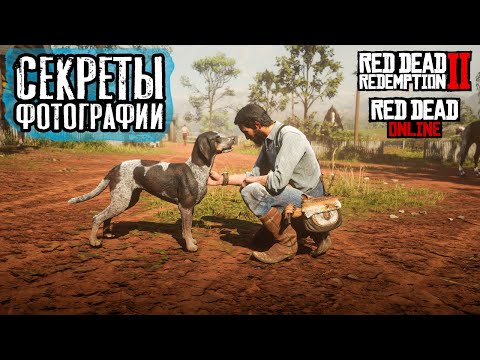 Видео: 📷Секреты фотографии в RDR 2 и RDO