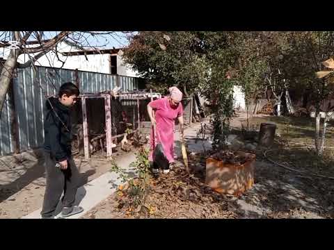 Видео: #vlog#Отбасылық сенбілік 💪🍁🍂# мотивация. 