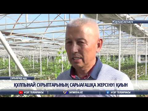 Видео: 27 04 2021 ҚҰЛПЫНАЙ СҰРЫПТАРЫНЫҢ САРЫАҒАШҚА ЖЕРСІНУІ ҚИЫН