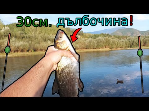 Видео: РИБИТЕ са повече от КАМЪНИТЕ! СКОБАРИ в 30 см вода! Риболов на ИЗТИЧАНЕ по Струма!Trotting for NASE!