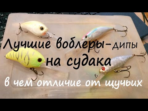 Видео: Лучшие судаковые воблеры для глубины и течения - в чем отличие от щучьих