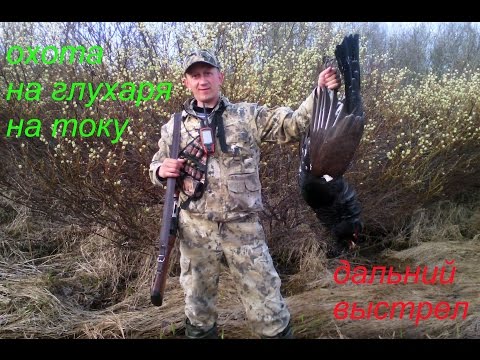 Видео: Охота на глухаря на току.