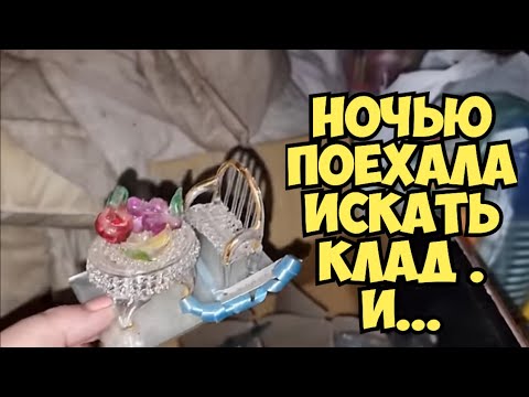 Видео: Ночью поехала искать клад и ...! Не мусорка , антикварный магазин ! Dumpster Diving Australia