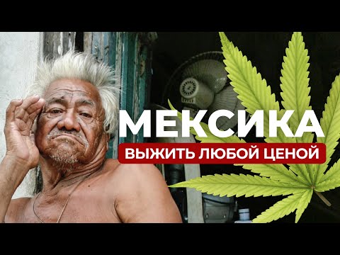 Видео: Путешествие по Мексике: мистика и красоты