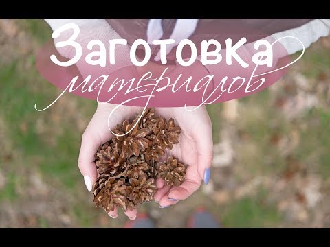 Видео: Заготовка природных материалов, сушка и хранение  Tsvoric