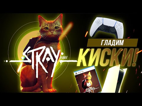Видео: СТРИМ! После тяжелой недели самое время сыграть в Stray и успокоиться.