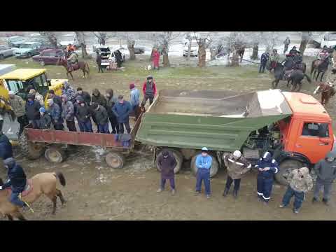 Видео: Аңсар көкпар, Төлеби