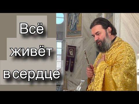 Видео: «Я у Господа любимый больной» - так может сказать о себе каждый. Отец Андрей Ткачёв