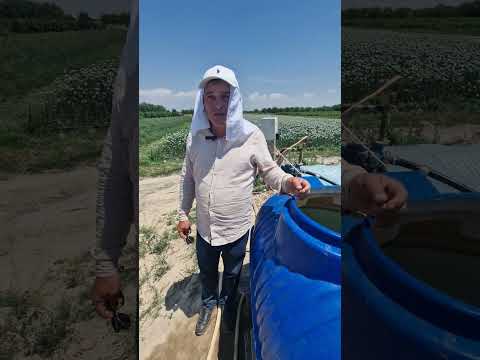 Видео: тарзи каммасраф сохтани ҳавзи об барои оби қатрагӣ.