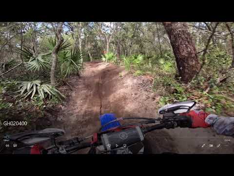 Видео: СОВЕТЫ ПО ИГРЕ "HARESCRAMBLE" - Hogwaller