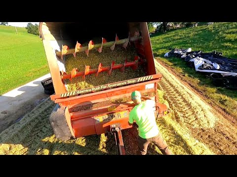 Видео: Рубим кукурузу, пока ящик не отвалится! Сезон сбора урожая 2025 года!