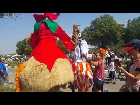 Видео: 14 ноября 2025 г.