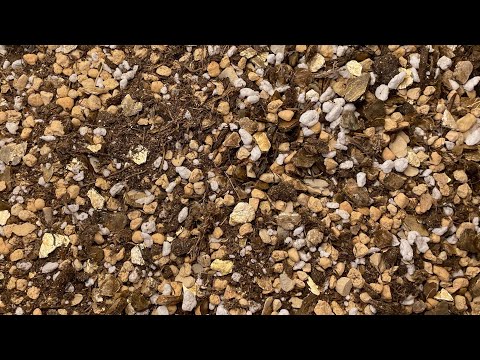 Видео: Грунт для комнатых растений / Торф или кокос 🤔