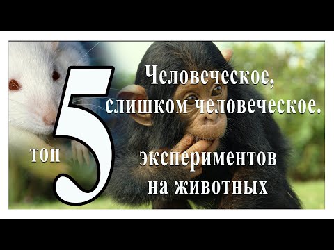 Видео: Человеческое  слишком человеческое