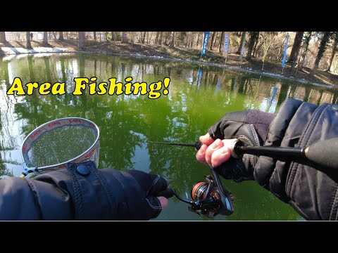 Видео: Първото ми AREA състезание! Много трудни риби!