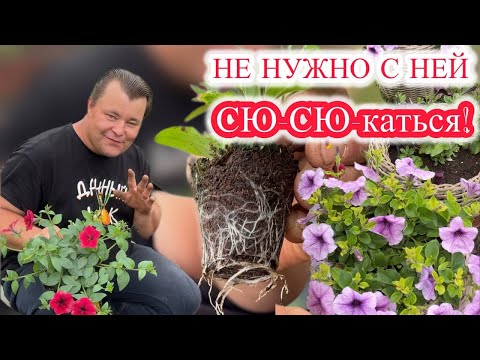 Видео: 5 ПРОСТЫХ РЕКОМЕНДАЦИЙ ПО ВЫРАЩИВАНИЮ ПЕТУНИИ!