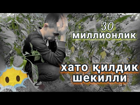 Видео: Яхшигина адашдик шекилли