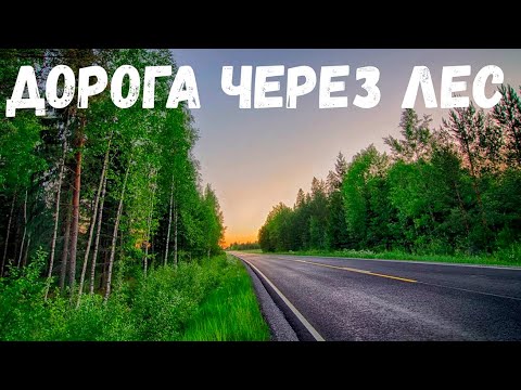 Видео: Дорога через лес. Страшная история.