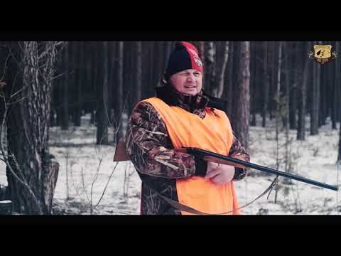 Видео: Загонная охота "Жлобинский  РОС" РГОО "БООР" 2023