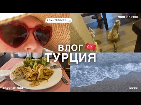 Видео: VLOG ТУРЦИЯ: много котов, вкусной еды и моря!