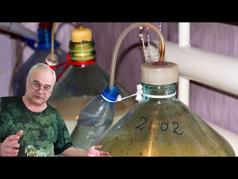 Видео: Информация для зрителей Казахстана. Как осветлить брагу? Осветление браги. Плюсы, минусы.