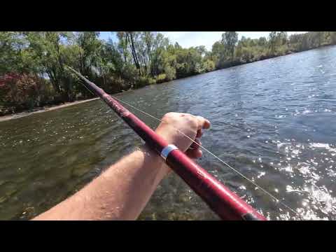Видео: Рыбалка на Нижней Терси с Батей