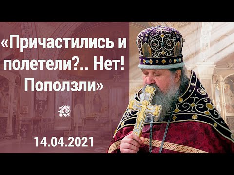 Видео: ПРОПОВЕДЬ о.Андрея Лемешонка 11.04.2021 "Причастились и полетели? Нет! Поползли."