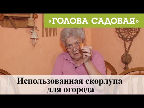 Видео: Голова садовая - Использованная скорлупа для огорода