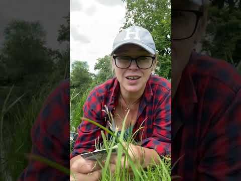 Видео: Рыбалка в Нидерландах. Правила и лицензия. Первый исследовательский выезд на озеро.