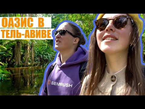 Видео: Парк Яркон в Тель-Авиве | Лучший хумус | Бесплатный коворкинг