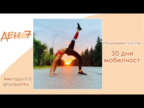 Видео: Ден 7: 30 дни мобилност за мост