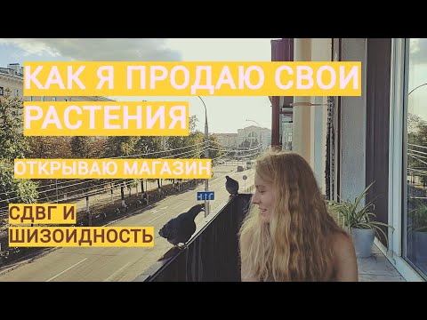 Видео: ОТКРЫВАЮ МАГАЗИН КОЛЛЕКЦИОННЫХ РАСТЕНИЙ|КАК ПРОДАЮ НА КУФАРЕ|ХЛОРОЗ НА МОНСТЕРЕ ИЛИ ВАРИЕГАТНОСТЬ