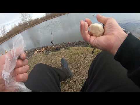 Видео: Закрыл сезон,чесночное тесто. Рыбалка.  30.10.2025 г.