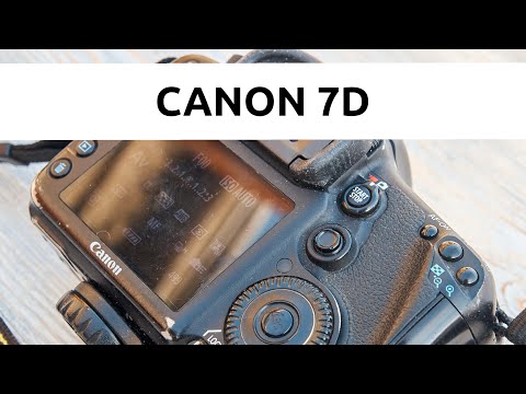Видео: Обзор Canon 7D: все еще может!