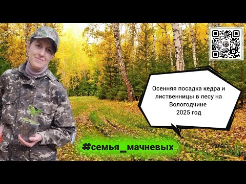 Видео: Осенняя посадка деревьев в лесу от семьи Мачневых на Вологодчине 2️⃣0️⃣2️⃣5️⃣ #вклад_в_будущее