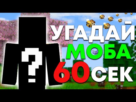 Видео: Угадай Моба Майнкрафта За 60 Секунд