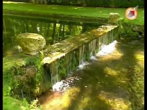 Видео: Зачарованные сады ч. 20