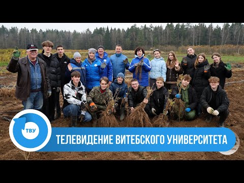 Видео: ВГУ LIVE: Машеровцы приняли участие в трудовой акции