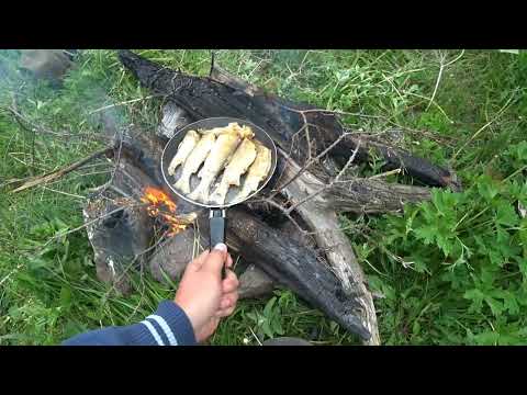 Видео: Шикарнейшая рыбалка в Алматинских горах| форель клюет как из пулемета) Рыбалка, на дикую форель)