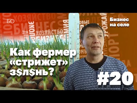 Видео: «Приключения Чиполлино из Лаишево»: Как татарстанский фермер «стрижет» зелень? | Бизнес на селе #20