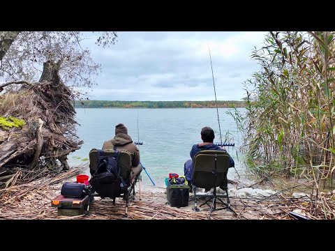 Видео: ЦЯ СНАСТЬ ЛОВИТЬ ВСЮДИ! Осіння риболовля в жовтні
