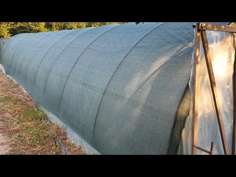 Видео: Маточник для клубники, немного усовершенствовали.