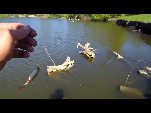 Видео: Рыбалка,на мормышку дубль второй