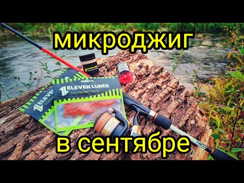 Видео: МИКРОДЖИГ В СЕНТЯБРЕ !!! ЭТИ ПРИМАНКИ ВЫРУЧАЮТ В БЕСКЛЁВЬЕ !!! ПРИМАНКИ ELEVEN LURES !!!