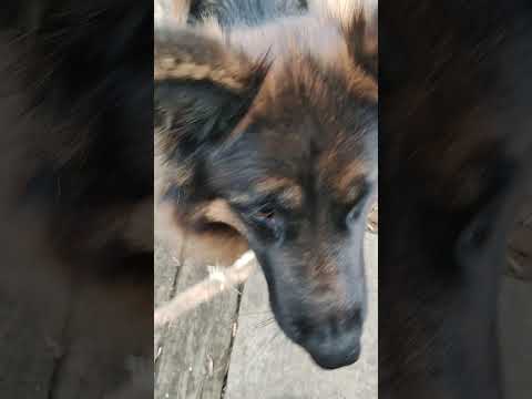 Видео: Похудела