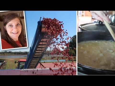 Видео: Супер-суп с начос и картофелем для моей команды по сбору клюквы (и много другой еды)
