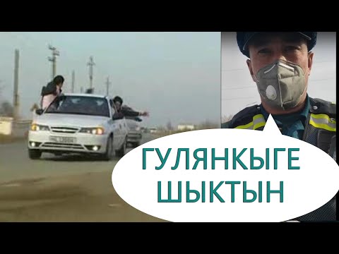 Видео: МЫНА ГАИ КАТТЫ КЕТТИ НУКУС #нукус