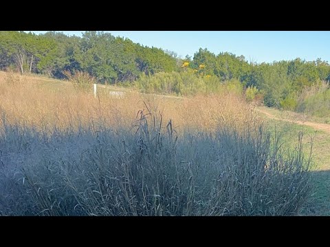 Видео: Daniella Дана Yussupbek is live! Утро🌹